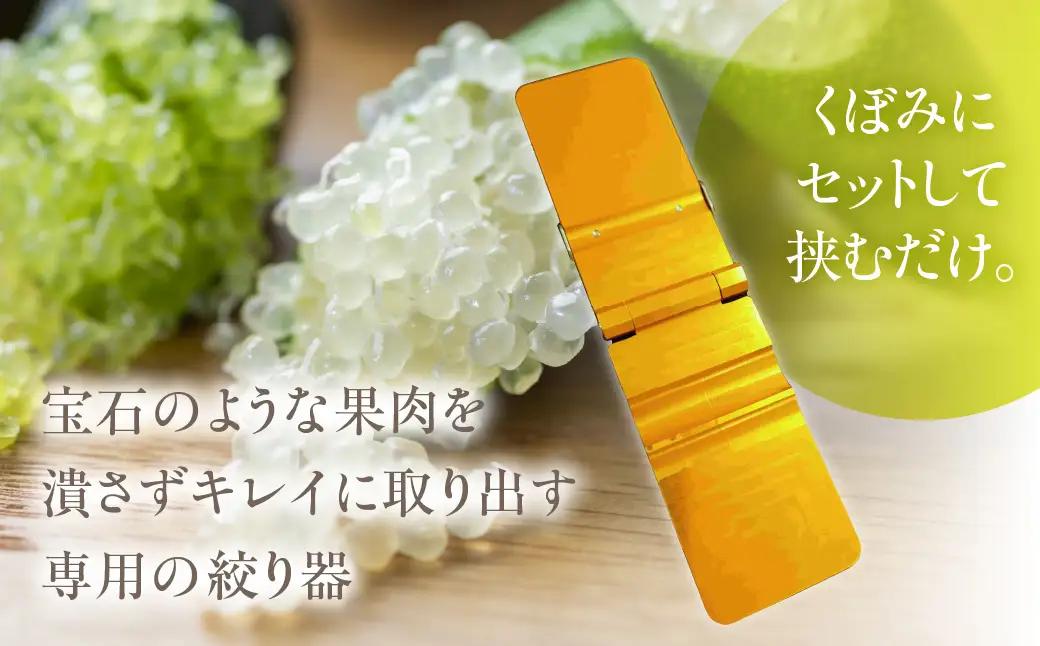 フィンガーライム絞り器 カラー：赤 フィンガーライム FINGER LIME キャビアライム フルーツキャビア 森のキャビア 柑橘 雑貨 調理器具 絞り器 愛知県 田原市 渥美半島 国産