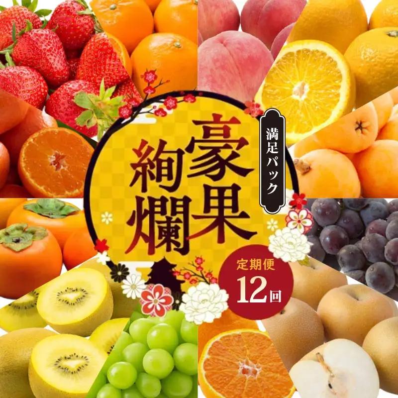 フルーツ定期便 12回 満足パック フルーツ 定期便