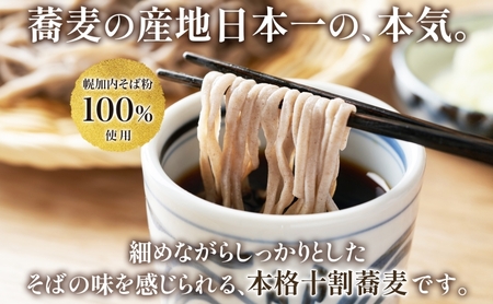 北海道産 十割蕎麦 選べる内容量 200g ×40袋 そば 乾麺 十割 蕎麦 国産 そば粉 田舎 ソバ 麺 ヘルシー 小分け 保存 常温 ギフト お取り寄せ ほろかない振興公社 送料無料 北海道 幌加