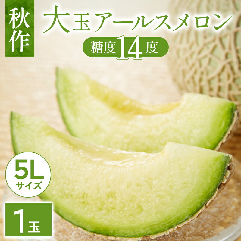 【ふるさと納税】 先行予約 大玉アールスメロン 1玉 5Lサイズ 国産 島根県産 益田市 果物 フルーツ メロン 秋作 季節限定 期間限定 早期予約 特産品 お取り寄せ グルメ