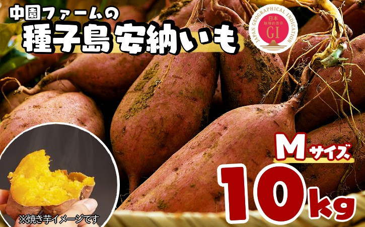 
                  種子島 中園ファーム 安納いも ( 生芋 ) M サイズ 10kg　NFN058【500pt】 // 安納芋 安納いも発祥の地 本場・安納地域産 糖度 熟成期間 G.I 保護制度 ブランド 金賞 生いも 芋 いも さつまいも
                