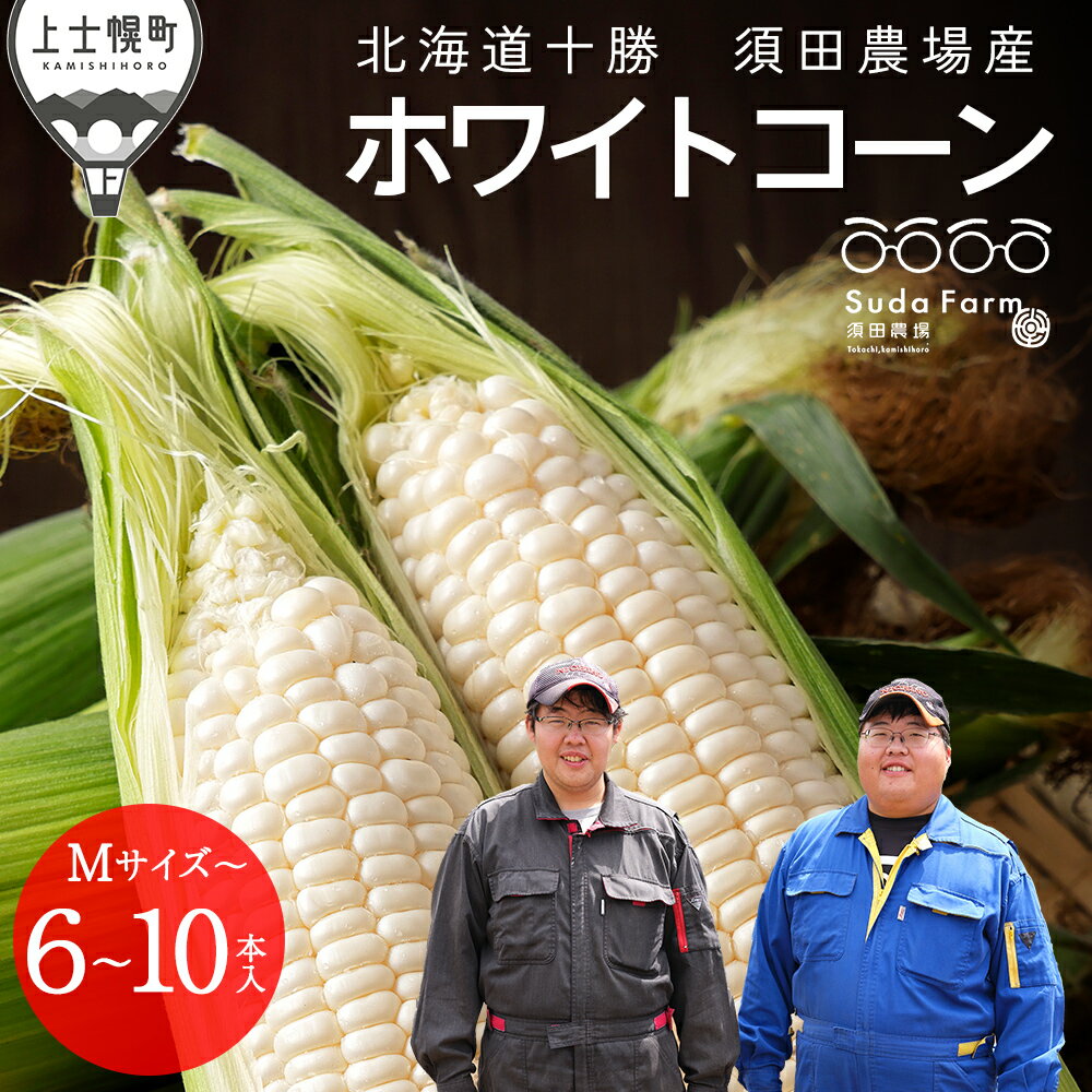 【ふるさと納税】2026年分 先行予約 北海道産 ホワイトコーン 6本 or 10本 北海道 上士幌町 須田農場 野菜 白い スイートコーン とうもろこし トウモロコシ 産地直送 冷蔵便 ◆2026年08月配送予定 レビューキャンペーン対象品 ※オンライン申請対応