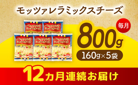 【12回定期便】 とろけるチーズ モッツァレラ ミックスチーズ 160g×5袋[AEAA008]