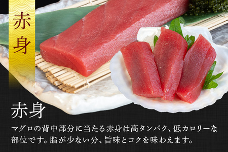 沖縄県産「旬のマグロ」をお届け！天然本マグロセット 600g