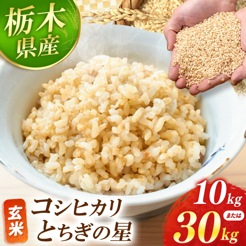 【ふるさと納税】 真岡市産 こしひかり・とちぎの星 選べる 内容量 品種 10kg~30kg | 米 先行予約 こしひかり コシヒカリ とちぎの星 新米 玄米 美味しい おにぎり シャリ 主食 おかず お米 シャリ 握り 栃木県 真岡市 送料無料 備蓄米