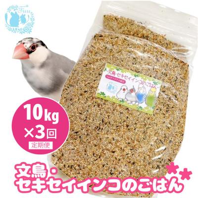 ふるさと納税 小牧市 【3ヶ月定期便】fuu 文鳥・セキセイインコのごはん(10kg)[145S48-T]