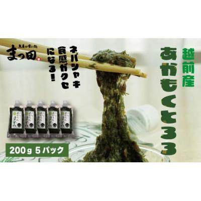 ふるさと納税 福井市 【越前産】あかもくとろろ　200g×5パック