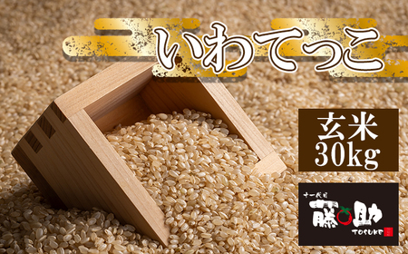【令和7年産】 いわてっこ 玄米 30kg ／ 十一代目藤助 こめ 米 コメ お米 おこめ ご飯 ごはん げんまい おにぎり お取り寄せ 産地直送 農家直送 単一原料米 国産 国産米 東北 岩手県産 八幡平市産 数量限定 おすすめ