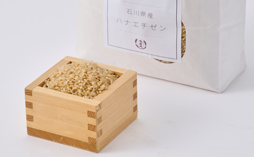 【さっぱりとした食感と甘み】石川県野々市市産ハナエチゼン 令和7年産玄米10kg(5kg×2袋)