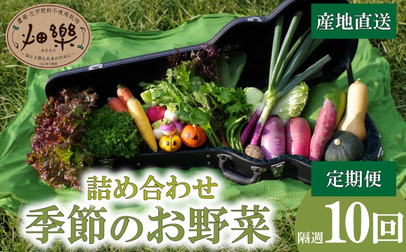 
                  旬 の 野菜 詰め合わせ セット 隔週計10回 2週間に1回 定期便 7 ~ 9 品【2025年5月以降順次発送】 お楽しみ 産地直送 農家直送 季節 春 夏 秋 冬 露地野菜 やさい サラダ 農薬 化学肥料 不使用 下関 山口
                