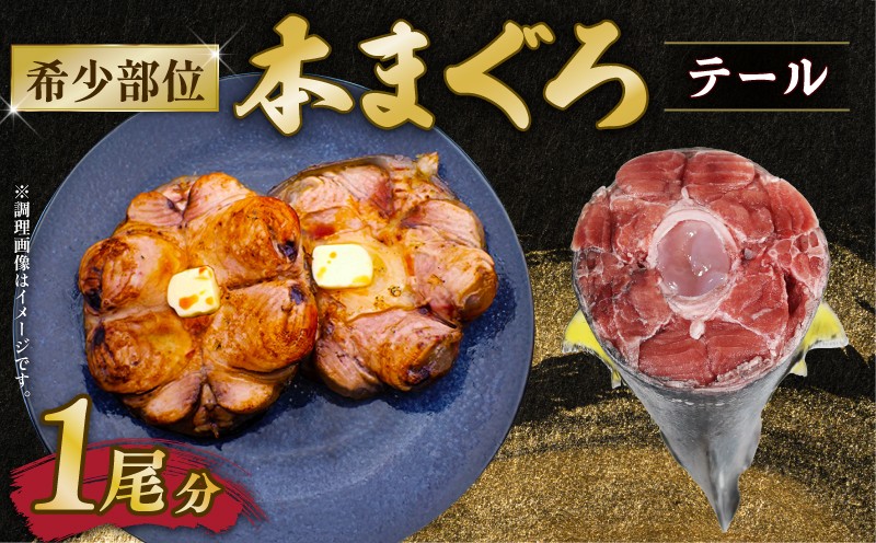 
                  本鮪 希少部位 テール 1尾分 数量限定 本マグロ 本まぐろ 鮪 まぐろ マグロ クロマグロ 伊勢志摩 まぐろ食堂 専門店 ステーキ 煮付け コラーゲン 三重県 伊勢 志摩 南伊勢町 10000円 1万円以下
                