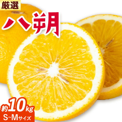 【ふるさと納税】みかん 八朔 厳選 S~Mサイズ 約10kg GOGO農園《10月下旬-12月末頃出荷》 和歌山県 日高川町 はっさく みかん 柑橘 蜜柑 フルーツ 送料無料