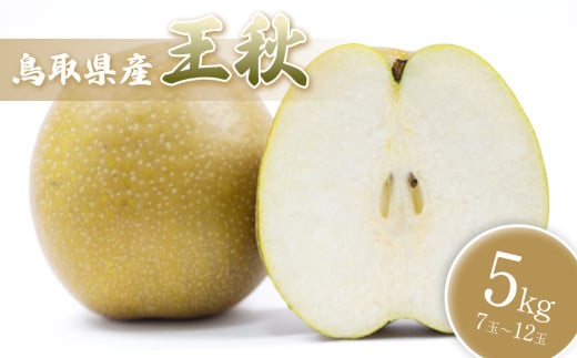 【先行予約】中野農園 梨 ”王秋梨” 5kg箱｜鳥取 岩美 梨 なし ナシ  赤梨 果物 フルーツ【41017】
