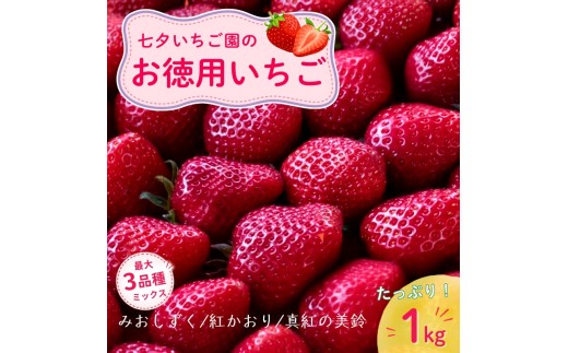 
                  【最大3品種ミックス】【訳あり】たっぷり1kgお徳用いちご　※2月上旬より順次配送　いちご イチゴ 苺 果物 フルーツ 滋賀県 米原市
                