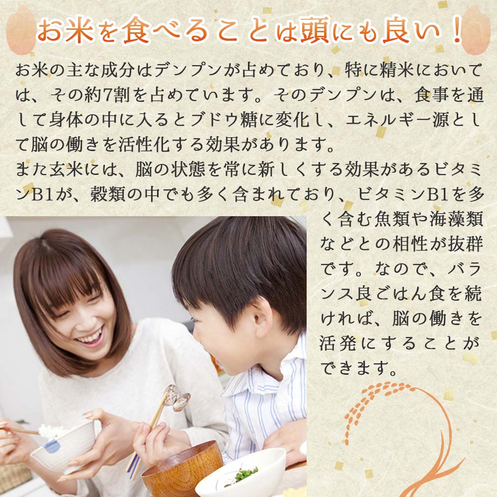 【きぬむすめ】令和６年産 白米10kg（10kg×1袋）(22-60)