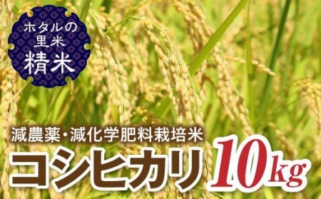 令和6年産【ホタルの里米】環境に配慮し農薬を減らした栽培米 コシヒカリ精米10kg 米 お米 おこめ ご飯 ごはん 福島県 西会津町 F4D-0694