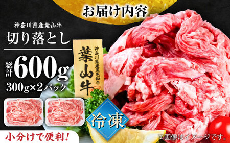 葉山牛 牛肉切り落とし300g×2パック [AKAG001]切り落とし