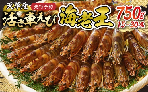 
                  【鮮度抜群】《美味しさの極み》天草産・幸福堂の活き車えび『海老王』（750g）_S005-007-sku
                