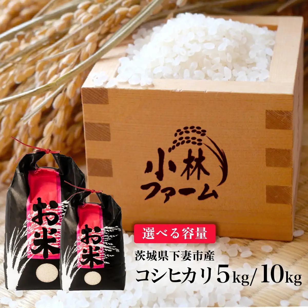 精米 10kg 令和7年産 コシヒカリ 茨城県 下妻市産