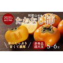 【ふるさと納税】柿 種無し 赤秀品 超大玉 1.8kg 5～6個 【先行予約】【2025年9月下旬頃から発送】【KG4】 | 柿 かき フルーツ 果物 くだもの 食品 人気 おすすめ 送料無料