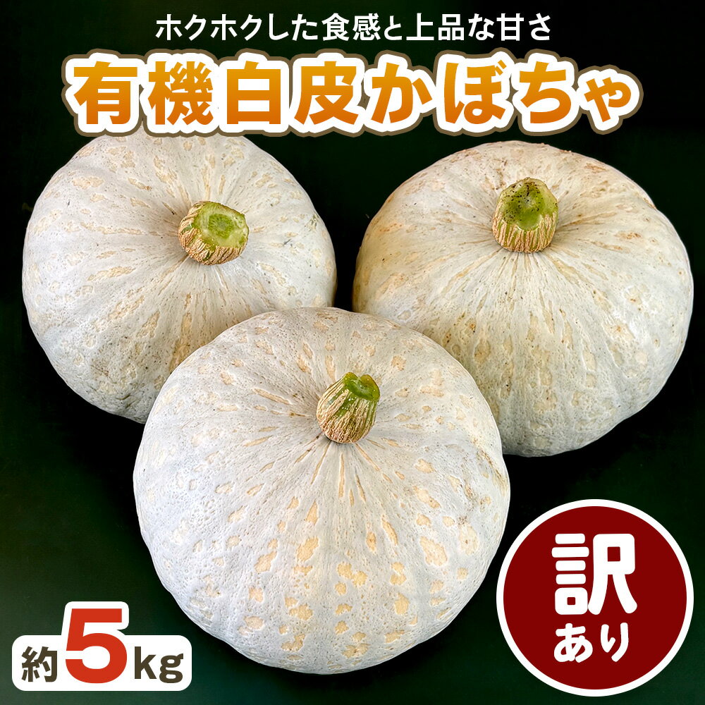 【ふるさと納税】[先行受付][訳あり] 白皮かぼちゃ (有機) 5kg【黒澤農園】｜数量限定 期間限定 伯爵 南瓜 カボチャ 国産 産地直送 煮物 サラダ スイーツ 訳あり品 甘楽町産 [0271]
