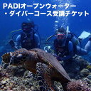 【ふるさと納税】【宜野湾】　PADIオープンウォーター・ダイバーコース受講チケット | 沖縄県 沖縄 宜野湾市 楽天ふるさと 納税 体験 チケット ダイビング 海 体験ギフト スキューバダイビング 水遊び ダイバー プレゼント 夏休み トラベル 旅行 国内旅行 スクール 沖縄旅行