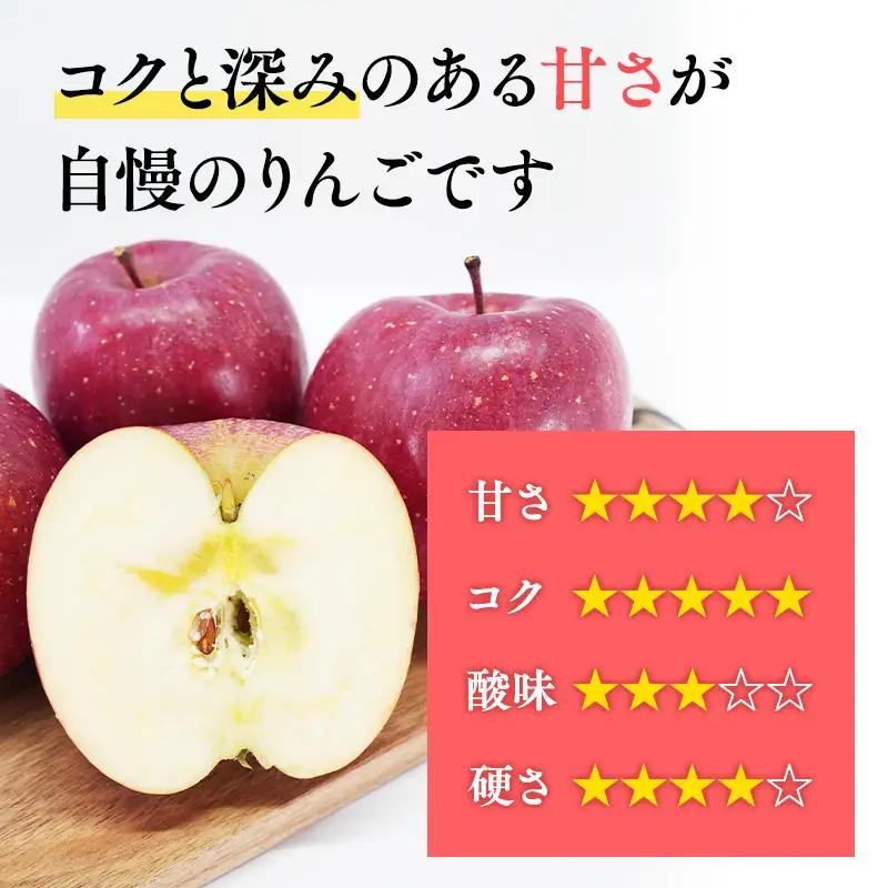 りんご 贈答用 サンふじ 約5kg  青森県平川市産 [hi-0038-009-2]