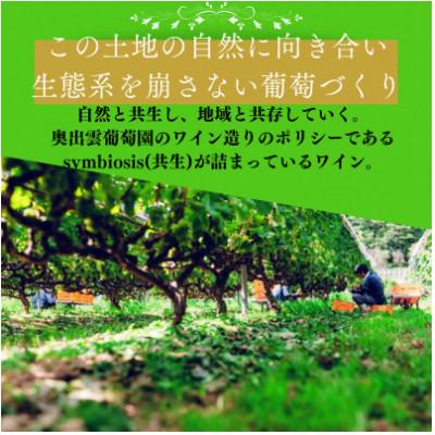 ふるさと納税 雲南市 シャルドネアンウッディッド(白ワイン 辛口) 750ml×1本 |  | 02