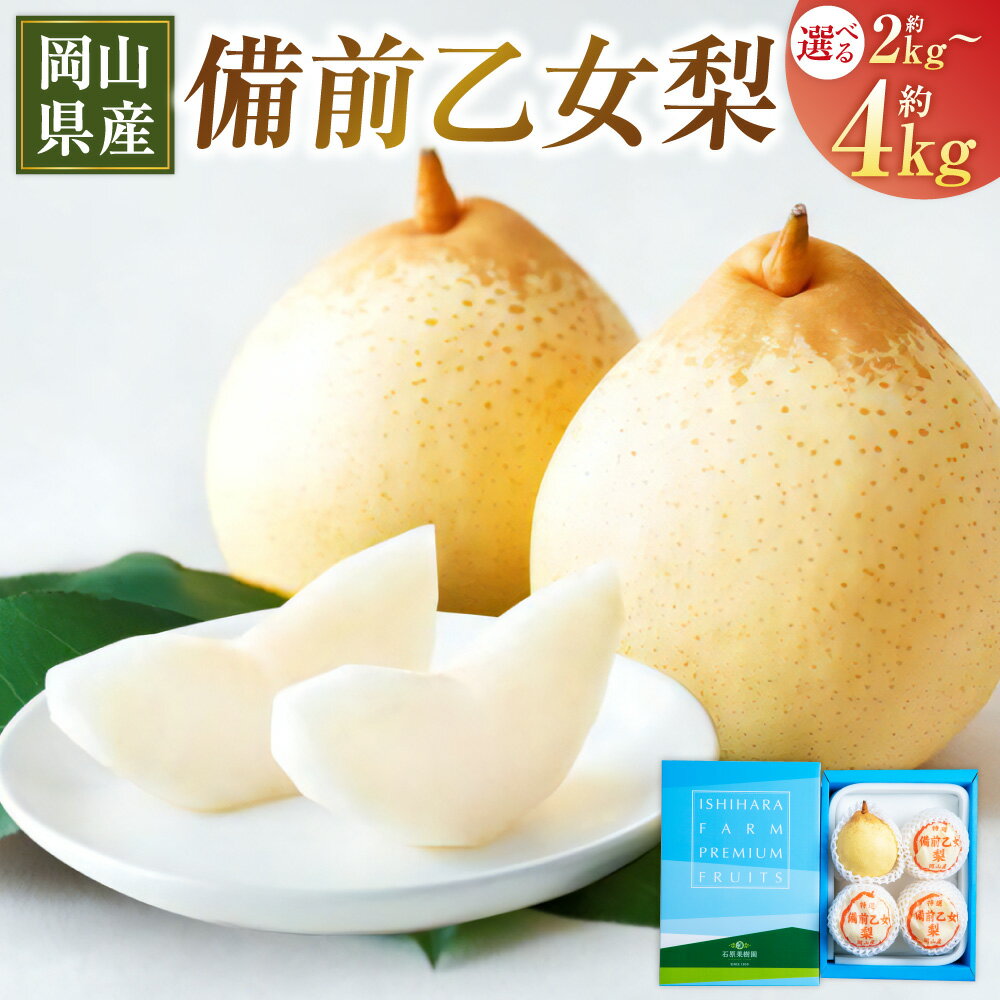 【ふるさと納税】備前乙女梨 〈選べる〉約2kg（3～4玉）または 約3kg（5～6玉）または 約4kg（6～9玉） 梨 なし ナシ フルーツ くだもの 果物 果実 岡山県産 岡山県 美咲町 送料無料 【2025年11月下旬～12月下旬発送予定】