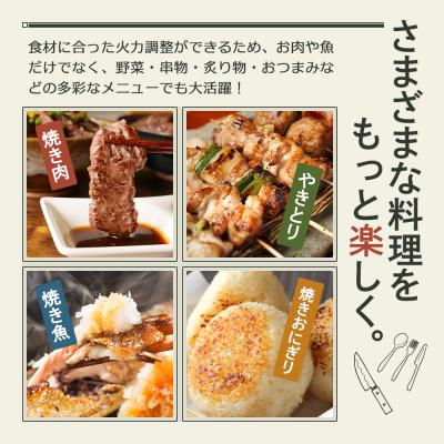 ふるさと納税 加西市 アラジン グリーン 緑 グラファイトミニグリラーアラジングリル[No5698-1089] |  | 02