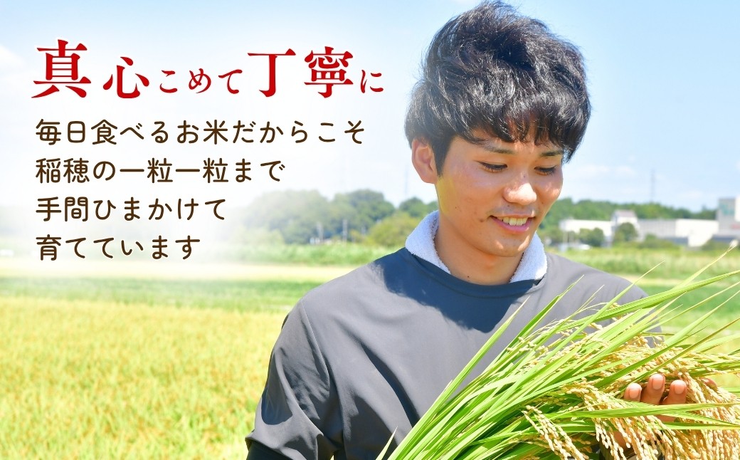 こしひかり お米 米 こめ コシヒカリ 白米 精米