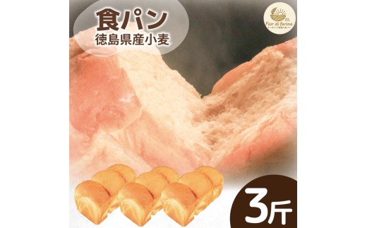 食パン 3斤 パン 天然酵母 国産 小麦 卵 牛乳 朝食 昼食 ランチ 間食 おやつ お取り寄せ グルメ 冷蔵 送料無料 徳島県 阿波市 フィオーレデファリーナ