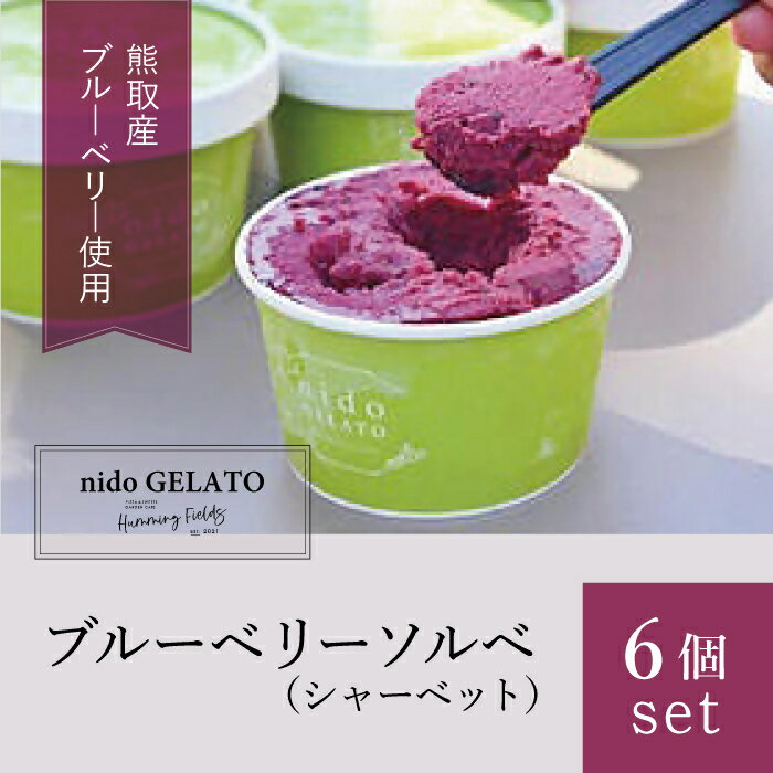 【ふるさと納税】ブルーベリーソルベ「Nido GELATO」(6個)【Humming Fields】（025_5001）