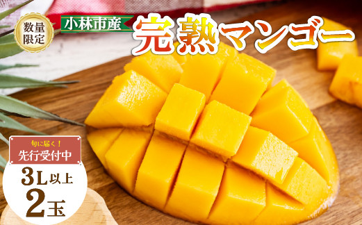 
            【数量限定・先行受付】厳選大玉宮崎完熟マンゴー 2玉 計1kg程度（フルーツ  2026 マンゴー 先行予約 完熟マンゴー 宮崎 小林市 果物 人気）
          