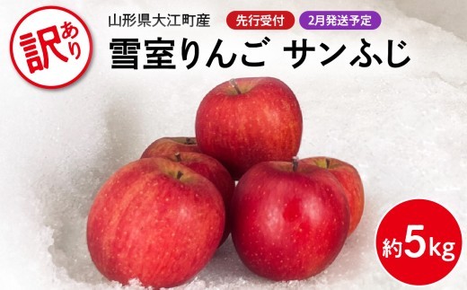 
                  《先行受付》【2027年2月発送予定】 訳あり 雪室りんごサンふじ 約5kg【大江町産・山形りんご・大地農産】 【028-029】
                