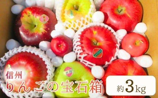 【2026年先行予約】りんご 園主におまかせ 詰合せ 計約3kg（8~11玉）りんごの宝石箱 ｜産地直送 シナノスイート シナノゴールド 秋映 あいかの香り 群馬名月 王林 紅玉 シナノホッペ サンふじ