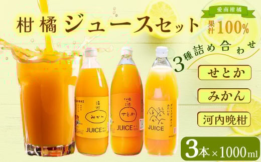 
            柑橘ジュース セット 3本×1000ml 100% せとか 温州 みかん 河内晩柑 ストレートジュース 柑橘 詰め合わせ3本 100% せとか 温州 みかん 河内晩柑 柑橘 蜜柑 かんきつ 冬 秋 旬 正月 おすそ分け シェア 愛媛 愛媛県 愛南町 お歳暮 プレゼント ギフト 高級 くだもの ジュース 果物 フルーツ おやつ お菓子 和菓子 愛媛 愛南 清家ばんかんビレッジ
          