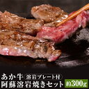 【ふるさと納税】あか牛 阿蘇溶岩焼きセット 溶岩プレート付き にんにくレモンステーキ 約300g×1枚 レモン胡椒 にんにくレモンだれ ガーリックスパイス 和牛 あかうし セット お肉 熊本県産 九州産 冷凍 送料無料