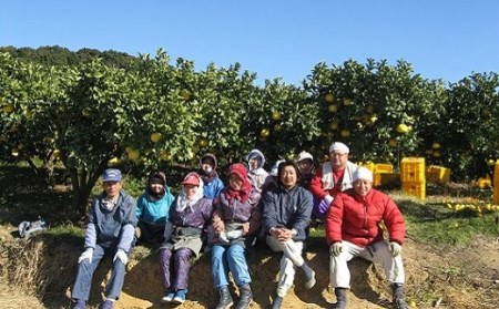 丸昭果樹園 土佐文旦 5kg 家庭用 文旦［1462-2］