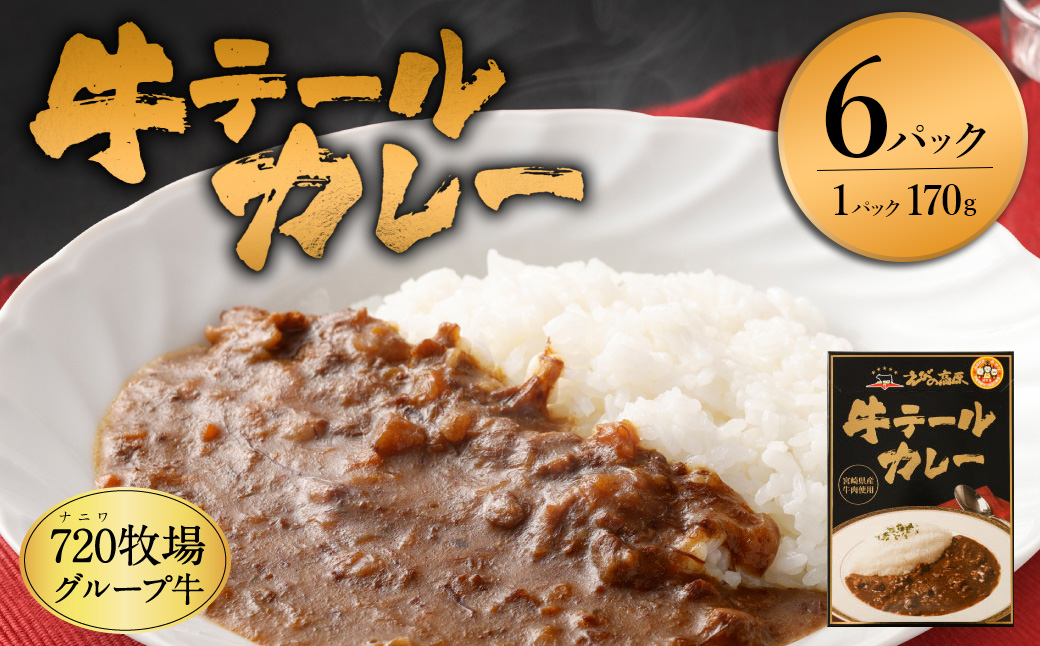 えびの高原 牛テール カレーセット 170g×6個 合計1020g レトルト お手軽 時短 便利 非常食 保存食 防災食 キャンプ飯 夜食 レトルト食品 レトルトカレー ギフト 贈り物 牛肉  送料無料 一人暮らし<br>