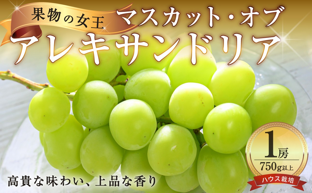 
                  【先行受付】岡山県産マスカットオブアレキサンドリア 1房 (750g以上) ハウス栽培（令和8年7月中旬～8月中旬頃発送）【岡山県産 マスカット 葡萄 ぶどう フルーツ 果物 アレキサンドリア ハウス栽培 1房 約750ｇ以上 果物の女王】
                