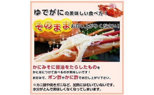 83．【先行予約】鳥取県産　タグ付き浜茹で松葉がに　400g以上×2枚