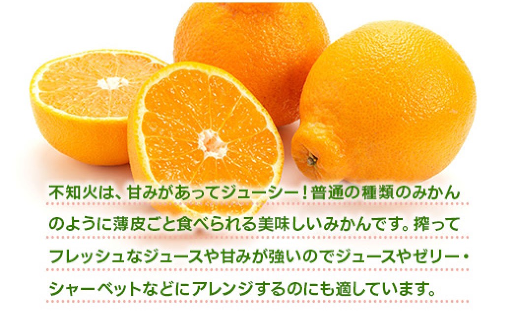 不知火約8kg
