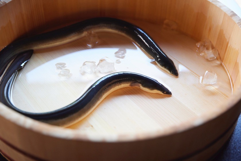 地焼きうなぎ【等々力ひらさわ】ひらさわ謹製 鰻重 2個セット【鰻 ウナギ かば焼き 蒲焼き うな重 ひつまぶし 国産 ギフト プレゼント 贈り物 ご褒美 東京都 世田谷】