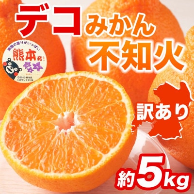 【先行予約】訳あり 熊本県 宇城市産 甘さと酸味が絶妙 不知火 デコみかん 約5kg(宇城市)【1714053】