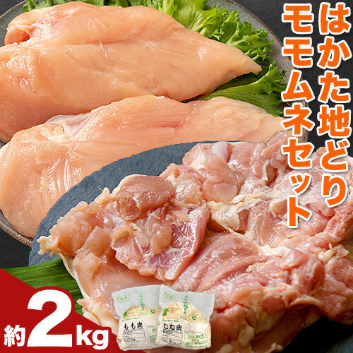 【ふるさと納税】鶏肉 はかた地どり モモムネセット もも肉 むね肉 2kg 《30日以内に出荷予定(土日祝除く)》 株式会社MEATPLUS 福岡県 鞍手郡 小竹町 地鶏 鶏肉 とり肉