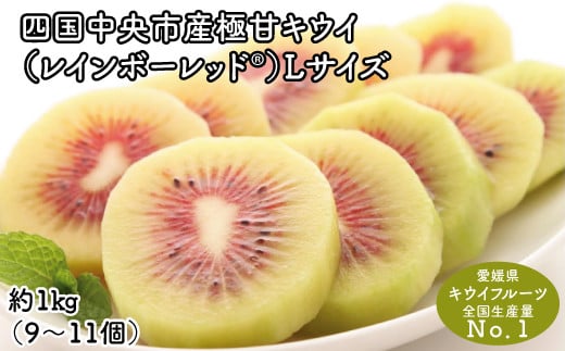 
            【25年8月受付開始】＜10月下旬以降発送＞レインボーレッドキウイ(四国中央市産極甘キウイ） Lサイズ約1kg（9～11個）
          
