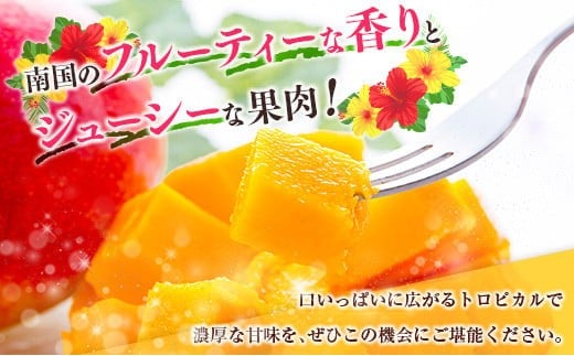 ◆宮崎県産 完熟マンゴー（合計約1kg）