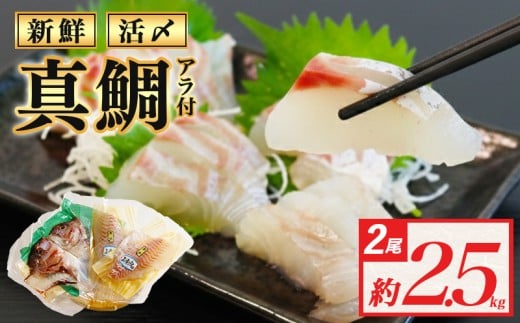 真鯛 タイ 半身 (アラ付き) 2尾 約2.5kg 産地直送 冷蔵 新鮮 鮮魚 養殖 カマ アラ 鯛 たい タイ 刺身用 しゃぶしゃぶ 鯛しゃぶ 鍋 鯛めし 鯛茶漬け カルパッチョ タタキ 炙り 塩焼き 煮込み 料理 三重県 伊勢 志摩 南伊勢
