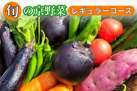 旬の京野菜 レギュラーコース※沖縄・離島・諸島へのお届け不可 ≪京都 丹波 野菜 ふるさと納税野菜 野菜詰め合わせ 野菜セット 厳選野菜 旬野菜 京都府亀岡市産野菜 京都府野菜 京都産野菜 亀岡市野菜